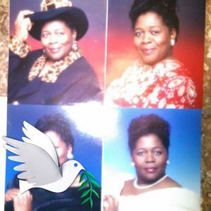 Meet your Posher, Rosemary